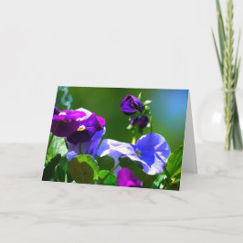 PANSY CARD-any-EINGANG Karte