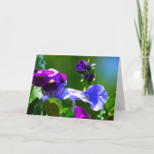 PANSY CARD-any-EINGANG Karte (Vorderseite)