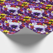 Pansy Celebration, Geschenkpapier (Ecke)