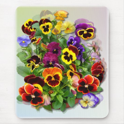 PANSY DELIGHT ~ Mousepad (Vorne)