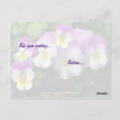 Pansy ~ Denken ~ Postcard Postkarte (Rückseite)