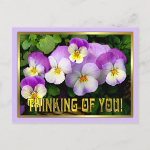 Pansy ~ Denken ~ Postcard Postkarte
