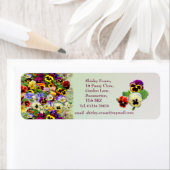 Pansy Display (Insitu)