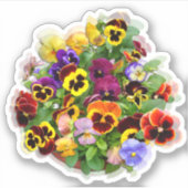 Pansy Display Custom Cut Vinyl Sticker (Vorderseite)