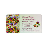 Pansy Display ~ Label # 6 Adressaufkleber (Vorne)
