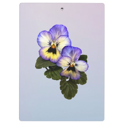 Pansy Duo Klemmbrett (Rückseite)