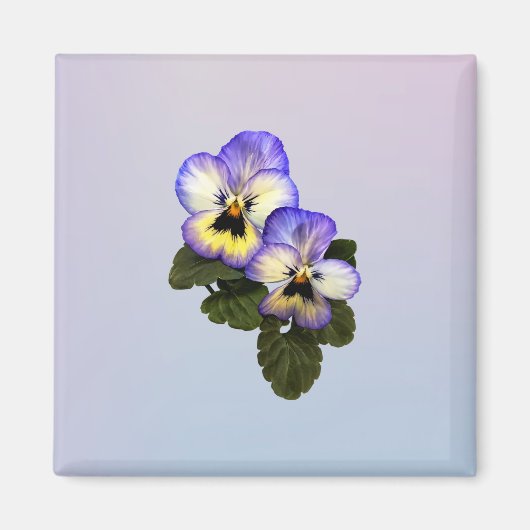 Pansy Duo Magnet (Vorne)