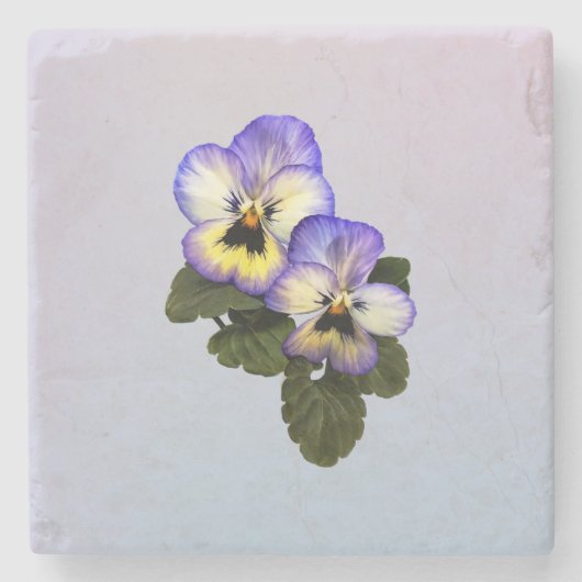Pansy Duo Steinuntersetzer (Vorderseite)