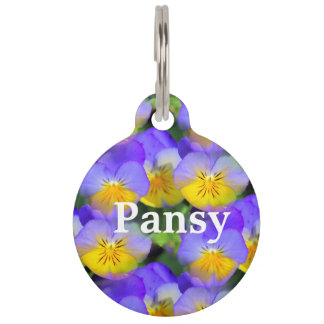 Pansy echoes haustiermarke