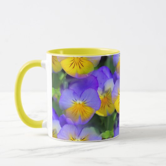 Pansy echos tasse (Links)
