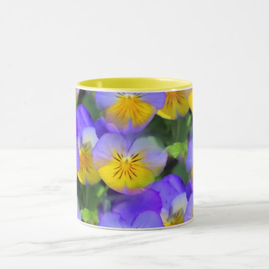 Pansy echos tasse (Zentrum)