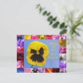 Pansy Garden Postcard Postkarte (Stehend Vorderseite)