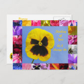Pansy Garden Postcard Postkarte (Vorne/Hinten)