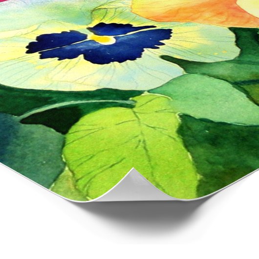 Pansy Garden Print Poster (Ecke)