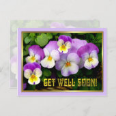 Pansy ~ Get Well Postcard Postkarte (Vorne/Hinten)