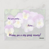 Pansy ~ Get Well Postcard Postkarte (Rückseite)