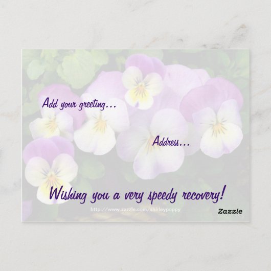 Pansy ~ Get Well Postcard Postkarte (Rückseite)