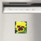 Pansy Gift Magnet (In Situ (Geschirrspüler))