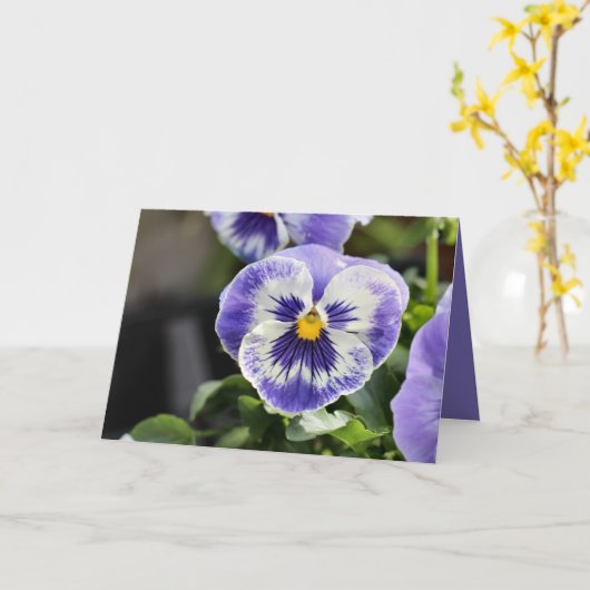 Pansy Karte (Gelbe Blume)