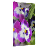 Pansy Klemmbrett (Rechts)
