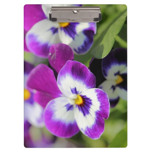 Pansy Klemmbrett (Vorderseite)