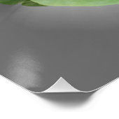 Pansy lila white poster (Ecke)