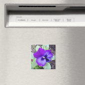 Pansy Magnet (In Situ (Geschirrspüler))
