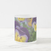 Pansy mattiert Cup Mattglastasse (Mittel)