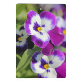 Pansy Mini Klemmbrett (Rückseite)