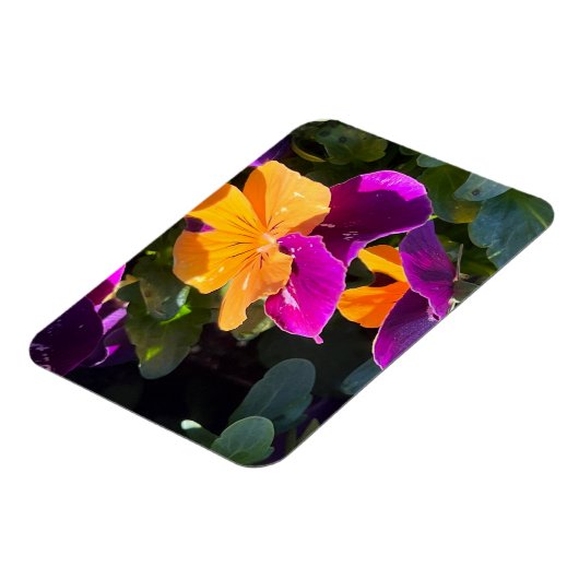 Pansy Orange und Lila Magnet (Linke Seite)