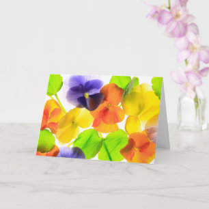 Pansy Party wird gut Karte