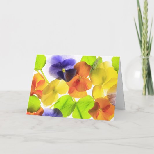 Pansy Party wird gut Karte (Vorderseite)