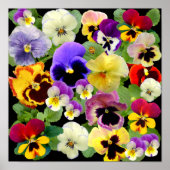 PANSY PATCHWORK ~ DRUCK/POSTER POSTER (Vorne)