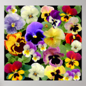 PANSY PATCHWORK ~ DRUCK/POSTER POSTER (Vorne)
