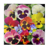 Pansy Patchwork Fliese (Vorderseite)