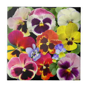 Pansy Patchwork Fliese