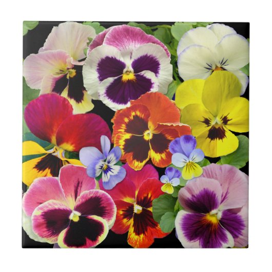Pansy Patchwork Fliese (Vorderseite)