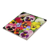 Pansy Patchwork Fliese (Seite)
