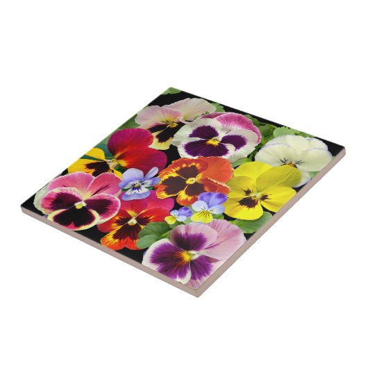 Pansy Patchwork Fliese (Seite)