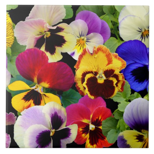 Pansy-Patchwork ~ Keramik-Fliese Fliese (Vorderseite)