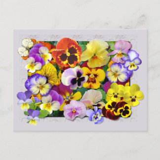 PANSY PATCHWORK POSTKARTE