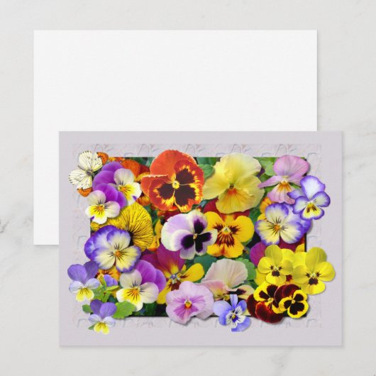 PANSY PATCHWORK POSTKARTE (Vorne/Hinten)