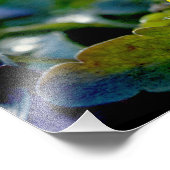 Pansy Perfection Fotodruck (Ecke)