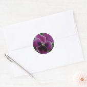 Pansy Pictures Sticker (Umschlag)