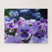 Pansy Pizazz! Puzzle (Horizontal)