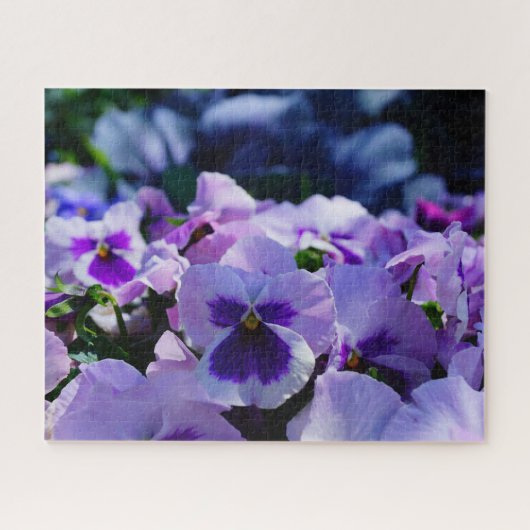 Pansy Pizazz! Puzzle (Horizontal)