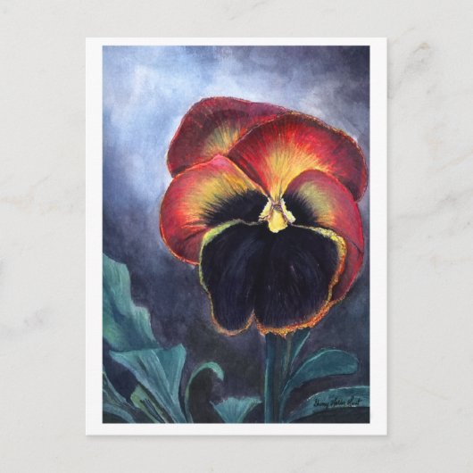 Pansy Postcard Postkarte (Vorderseite)