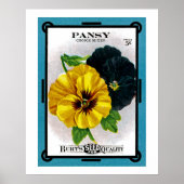 Pansy Poster (Vorne)