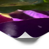 Pansy Poster (Ecke)