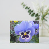 Pansy Postkarte (Stehend Vorderseite)